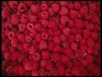 Raspberry