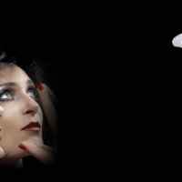 Siouxsie Solo Mantaray Theme with Butterfly