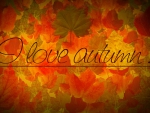 i love autum