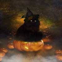 ~Halloween Black Cat~