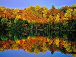 Autumn Reflection