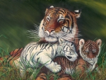Tiger And Cubs