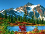 Mount Baker, Snoqualmie National Forest