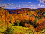 Valley of fall colors -Vermont