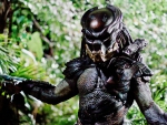 PREDATOR