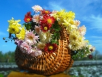 Basket with multicolor chrysanthemum