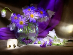 Purple - Still life