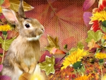 Bunny Autumn Day
