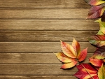 Autumn background