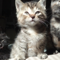 There's always one.....