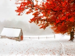 Autumn and winter