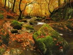 Autumn bridge