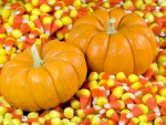 Candy Corn & Pumpkins