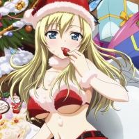 Sexy Santa Girl