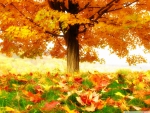 the beauty of autumn