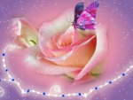 Pink Rose and Butterfly