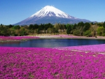 Mount Fuji, Japan