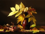 Still life - Fall