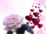 White Rose and Red Hearts!