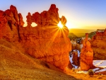 CANYON SUNBURST