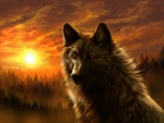Black Wolf