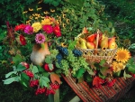 Fruits and flowers of autumn