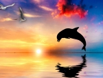 Dolphin Sunset Joy