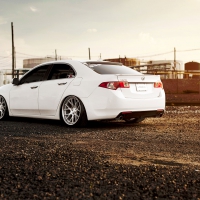 TSX Boss