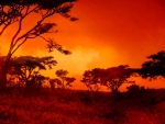Red African Sunset!