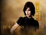 Twilight - Alice Cullen