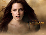 twilight - Bella Swan