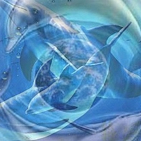 dolphin swirls
