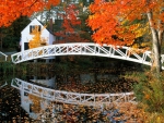 Autumn Bridge