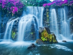 Beautiful Waterfall