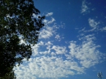 Cloud Pic 1