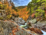 Rocks stream in autumn