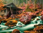 Watermill in autumn