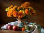 Marigold - Still life
