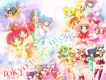 tokyo mew mew