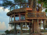 Luxury Treehouse