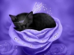 Cat Sleep on the Flower