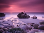 Purple Sunset