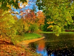Park in autumn