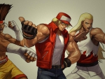 Fatal Fury Team