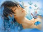 *Blue Butterflies*