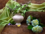 Blue hydrangea -  Still life