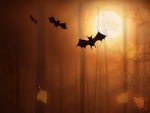 Halloween Bats