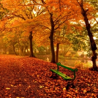 Relax in autumn park