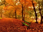 Relax in autumn park
