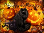 â™¥ â˜»Cute Halloween Catsâ˜» â™¥